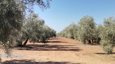 Non-constructible Land for sale in Calle Cuatro de Diciembre, 6, Alameda, Málaga - image 2 Photo 2 of Non-constructible Land for sale in Calle Cuatro de Diciembre, 6, Alameda, Málaga