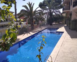 Swimming pool of Premises for sale in L'Estartit