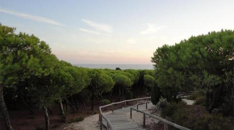 Photo 3 of Apartment to rent in Avenida del Decano, 7, Punta Umbría, Huelva