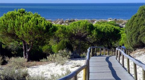 Photo 5 of Apartment to rent in Avenida del Decano, 7, Punta Umbría, Huelva