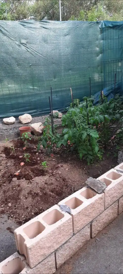 Casa o xalet en venda a Iorgi Kalea, 36, Güeñes Jardí de Casa o xalet en venda en Güeñes