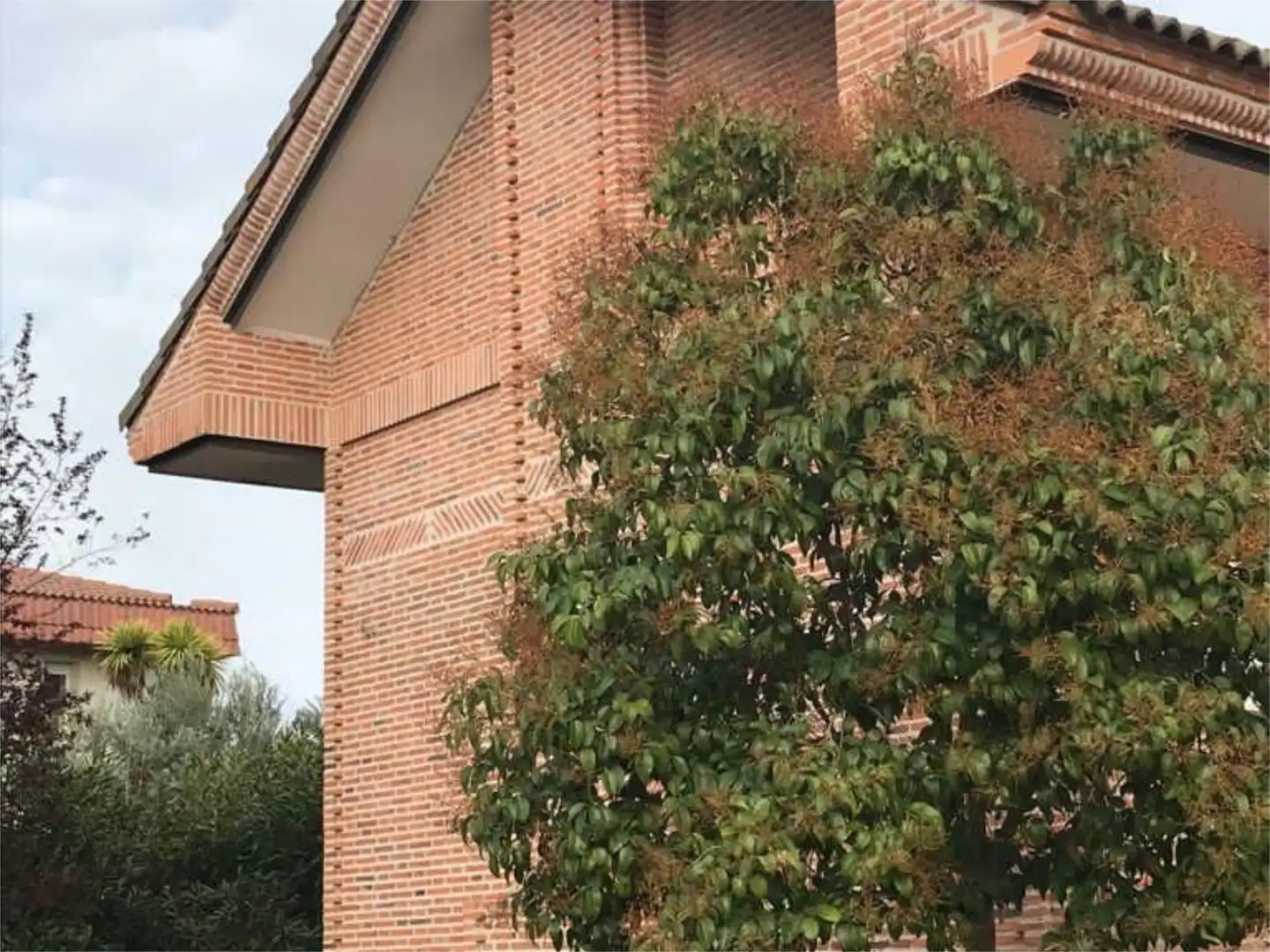 Vista exterior de Casa o chalet de alquiler en Fuente El Saz de Jarama con Calefacción, Jardín privado y Parquet