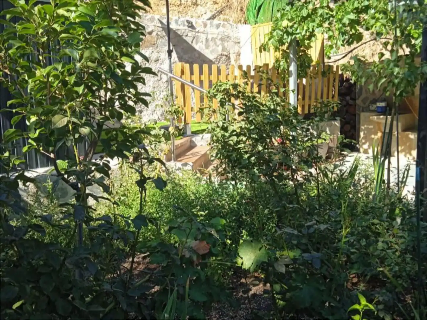 Garten von Country house zum Verkauf in Abrucena mit Heizung, Privatgarten und Terrasse