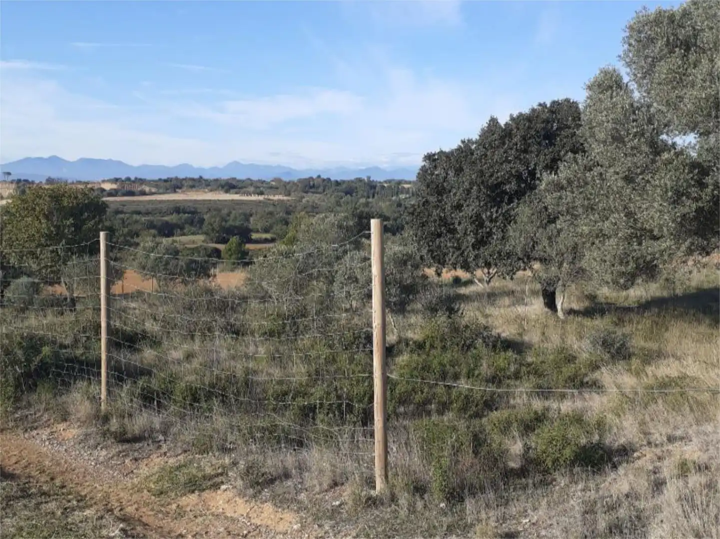 Land for sale in Pedret i Marzà