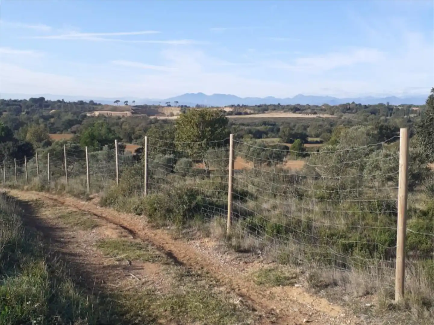 Land for sale in Pedret i Marzà