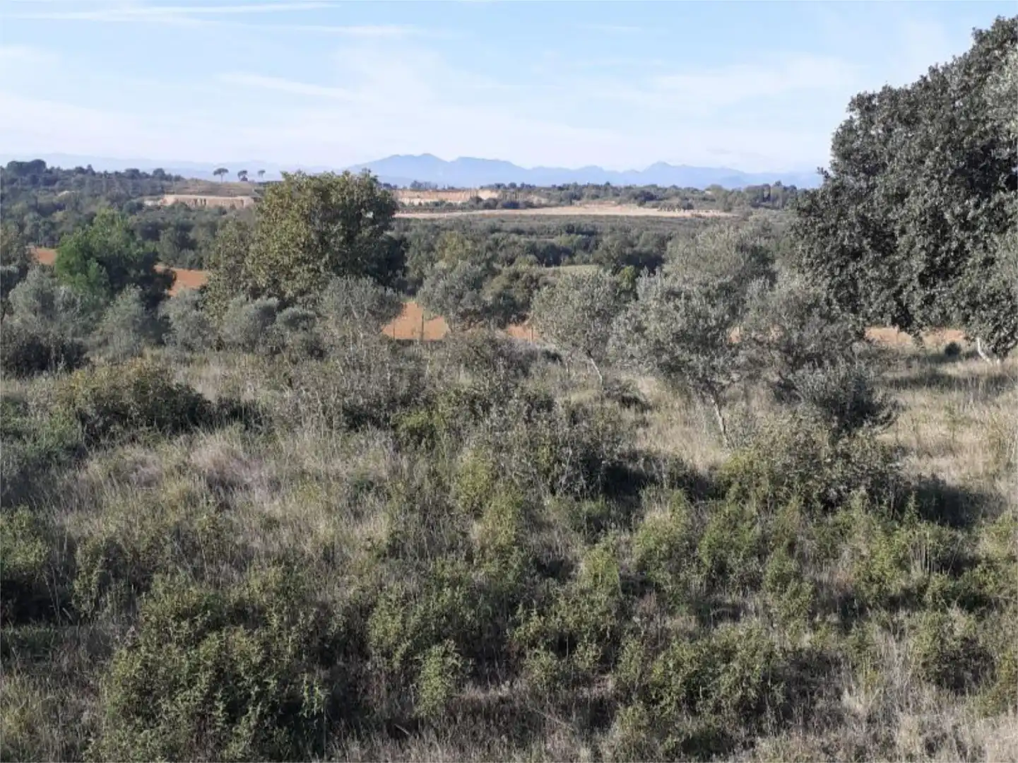 Land for sale in Pedret i Marzà