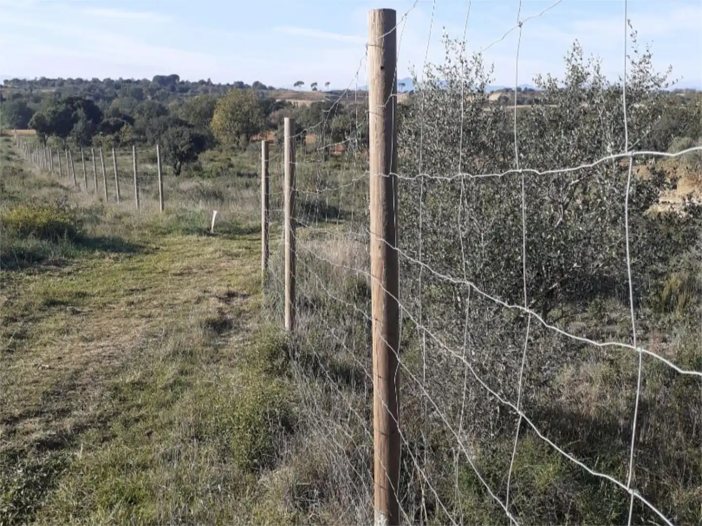 Land for sale in Pedret i Marzà
