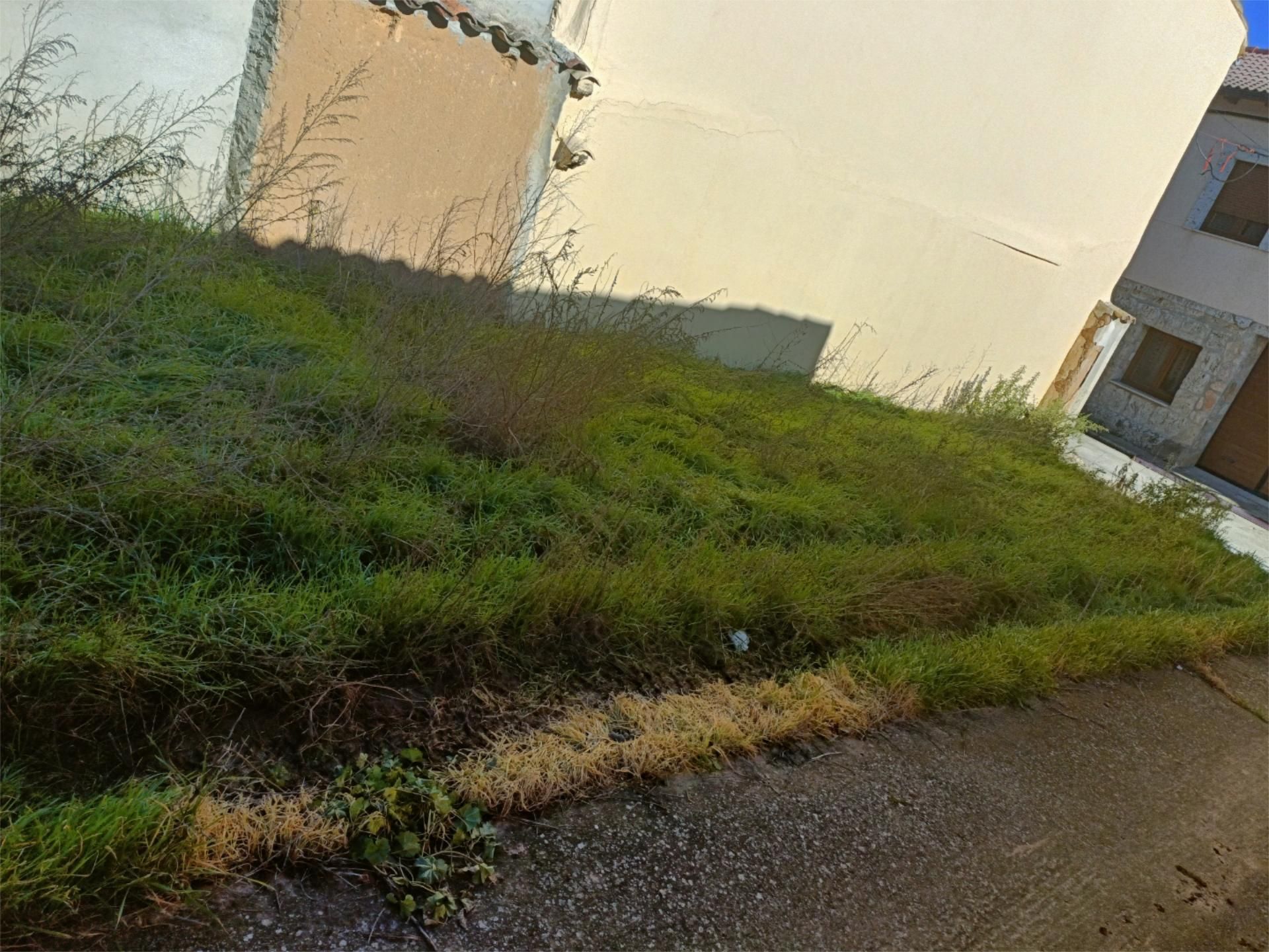 Constructible Land for sale in Lantadilla
