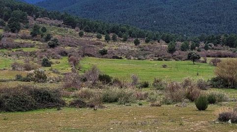 Foto 4 de Terreno en venta en Navafría, Segovia