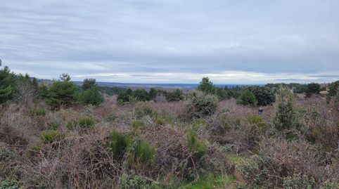 Foto 2 de Terreno en venta en Navafría, Segovia