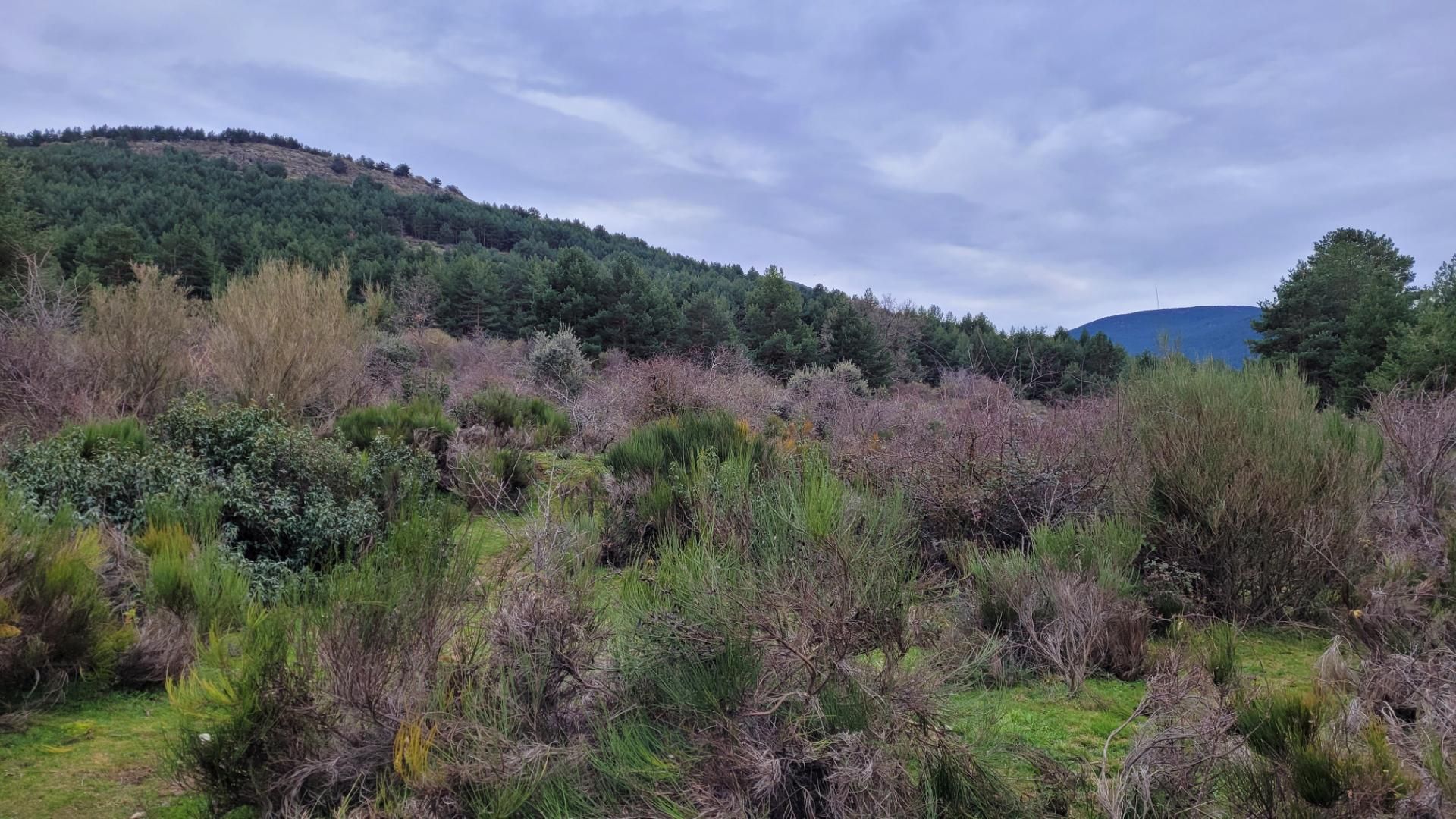Land for sale in Navafría