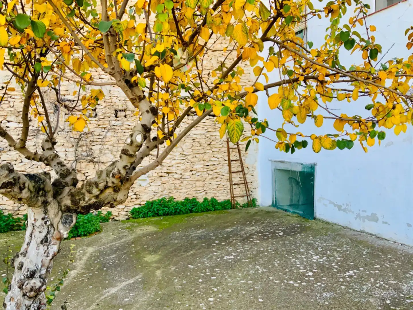 Pis en venda a Calle Malagón, 13, Santa Cruz de la Zarza Vista exterior de Pis en venda en Santa Cruz de la Zarza amb Calefacció i Jardí privat