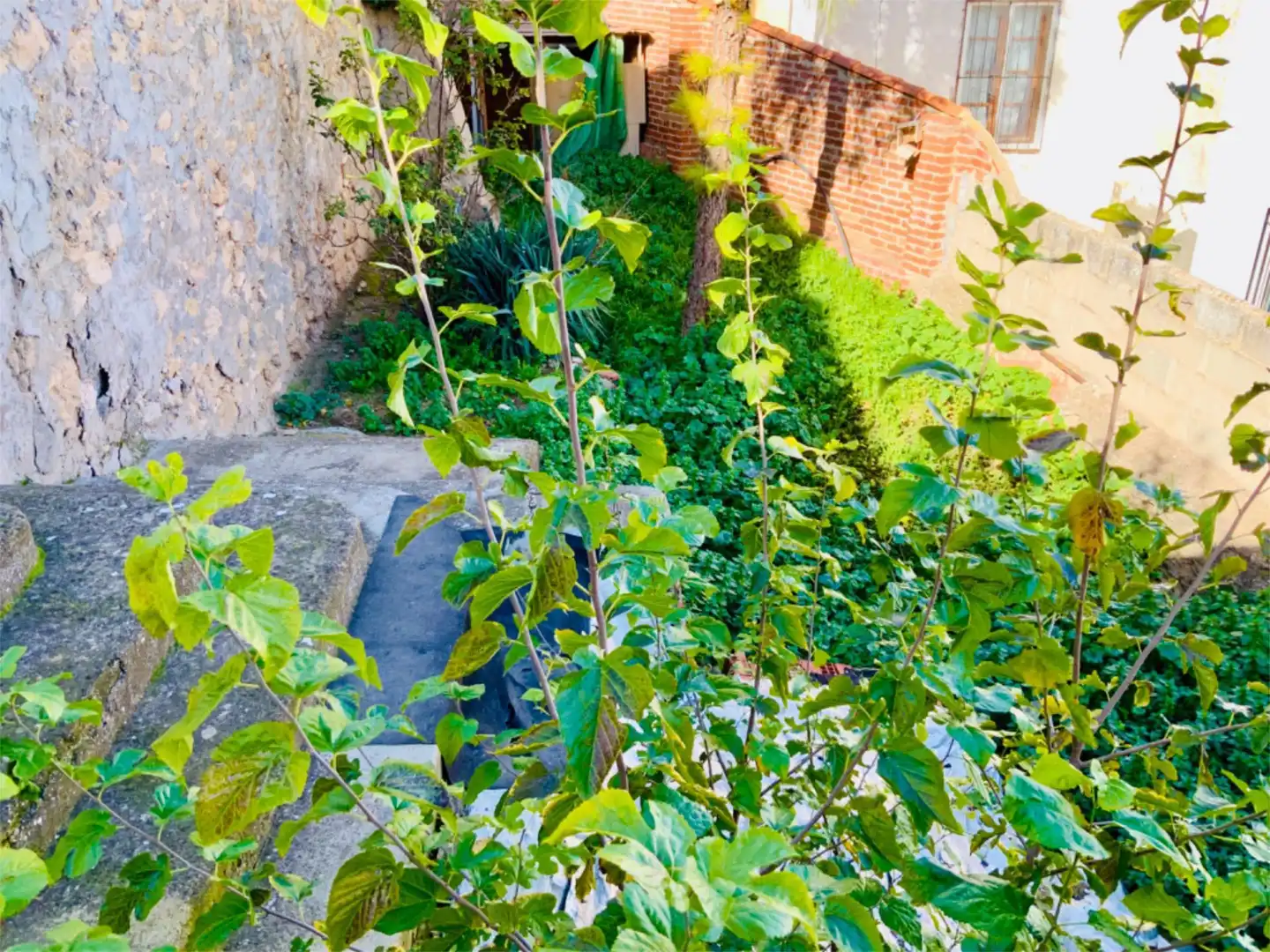 Pis en venda a Calle Malagón, 13, Santa Cruz de la Zarza Jardí de Pis en venda en Santa Cruz de la Zarza amb Calefacció i Jardí privat