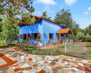 Garden of House or chalet for sale in El Sauzal