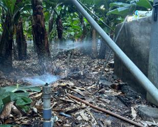 Jardí de Finca rústica en venda en Tazacorte