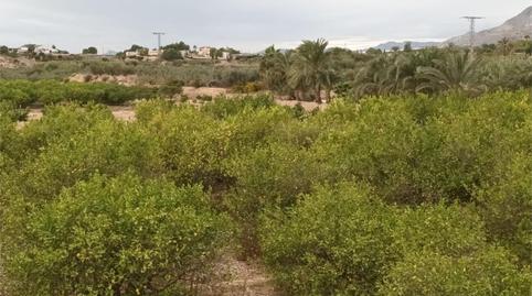 Finca rústica en venda a Cv-872, 10, La Murada - Los Vicentes, Alicante - imatge 2 Foto 2 de Finca rústica en venda a Cv-872, 10, La Murada - Los Vicentes, Alicante
