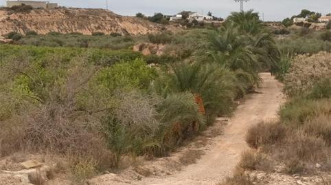 Finca rústica en venda a Cv-872, 10, La Murada - Los Vicentes, Alicante - imatge 3 Foto 3 de Finca rústica en venda a Cv-872, 10, La Murada - Los Vicentes, Alicante