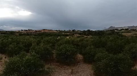 Finca rústica en venda a Cv-872, 10, La Murada - Los Vicentes, Alicante - imatge 4 Foto 4 de Finca rústica en venda a Cv-872, 10, La Murada - Los Vicentes, Alicante