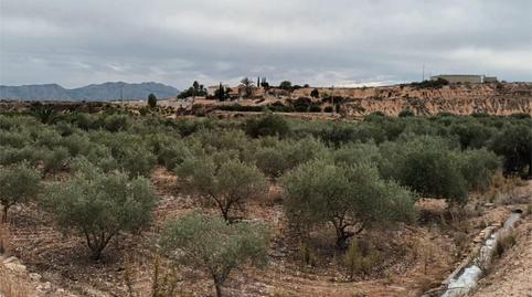 Finca rústica en venda a Cv-872, 10, La Murada - Los Vicentes, Alicante - imatge 5 Foto 5 de Finca rústica en venda a Cv-872, 10, La Murada - Los Vicentes, Alicante