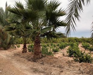 Finca rústica en venda en Orihuela