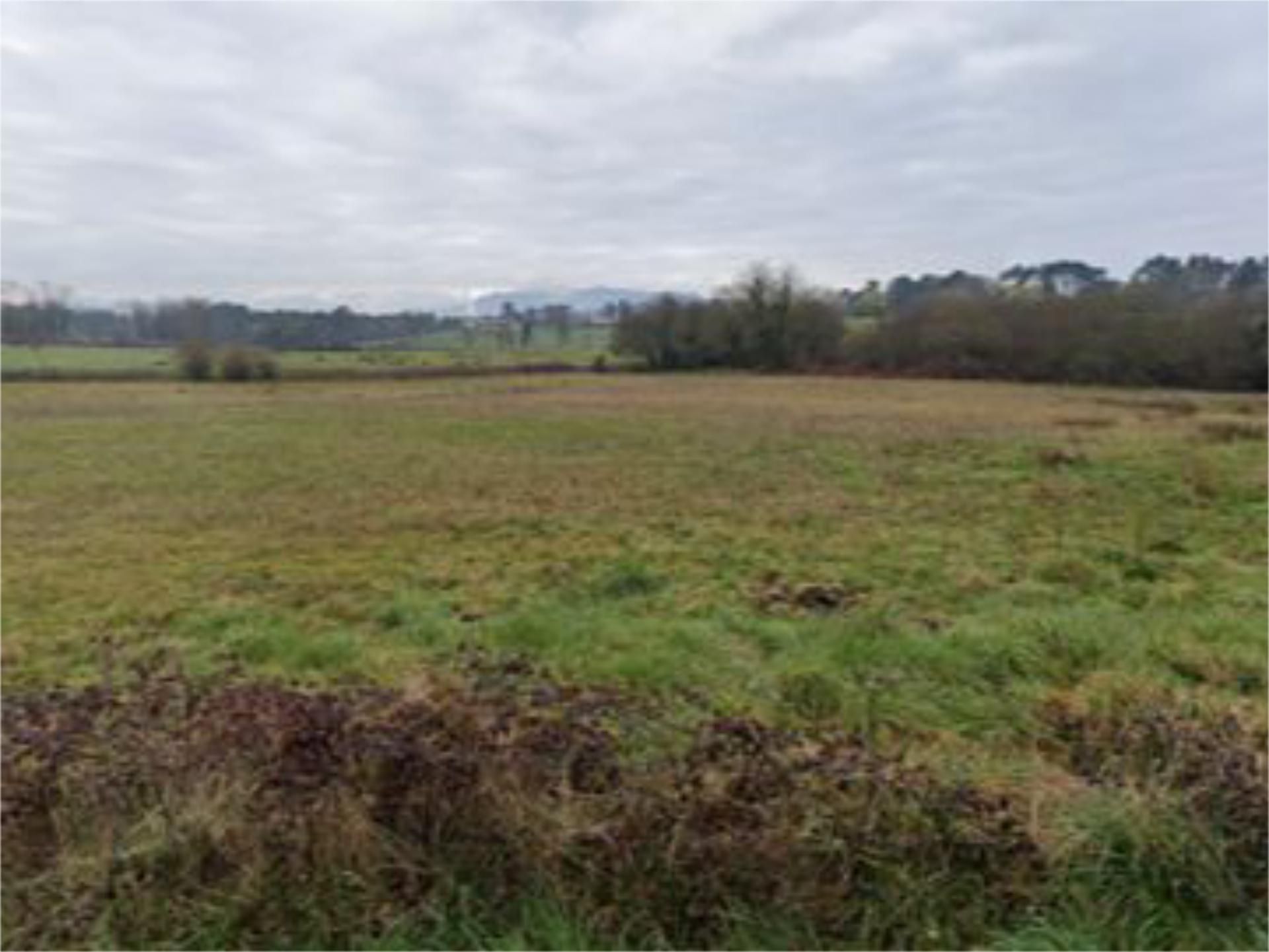 Terreno industrial en venta en Llanera