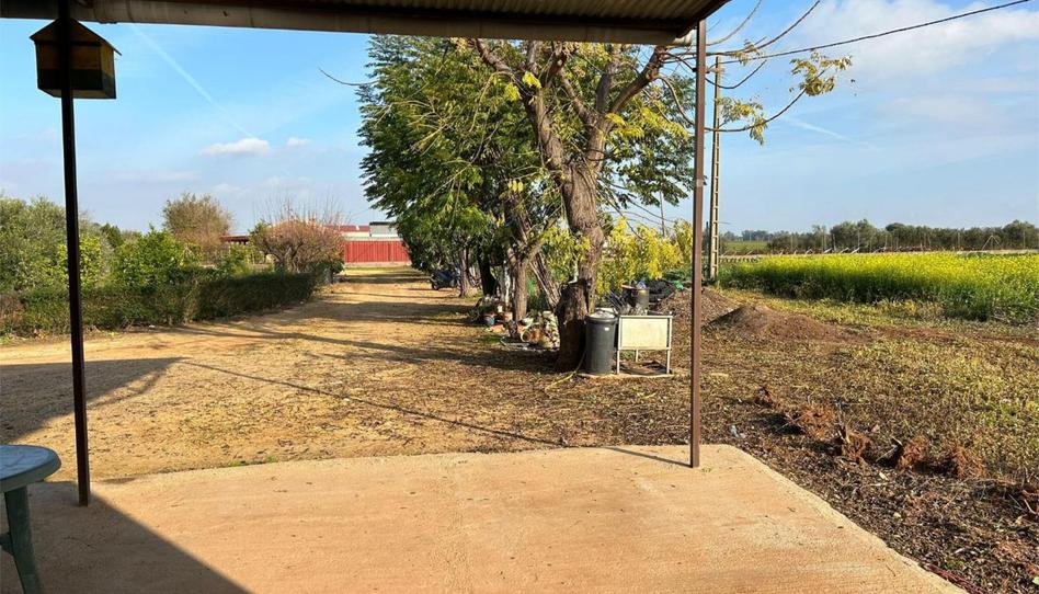 Photo 1 of Non-constructible Land for sale in Carretera Valdezorras, 23, Valdezorras - El Gordillo, Sevilla