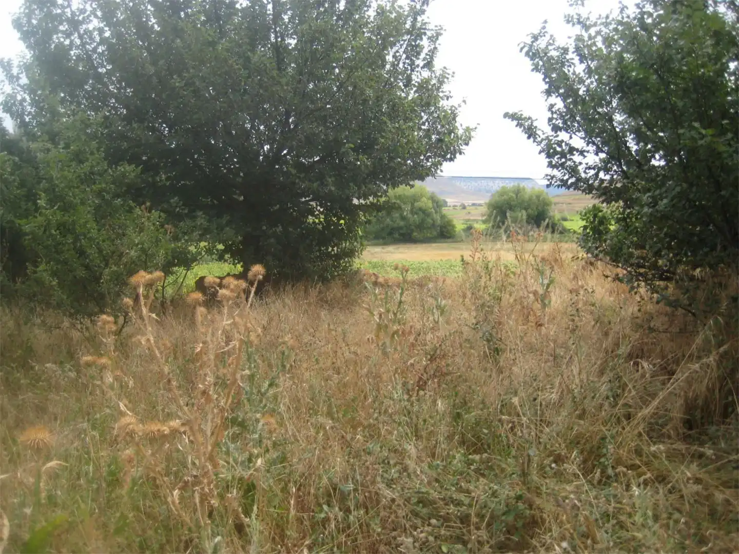 Terreno en venta en SO-152, 16, Caltojar Terreno en venta en Caltojar