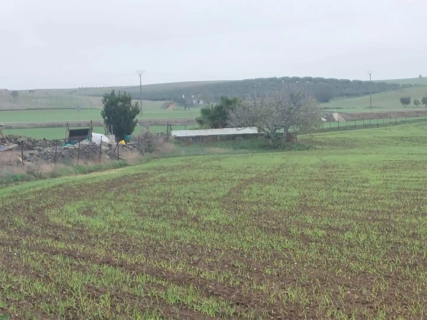 Pis en venda en Higuera de Llerena amb Calefacció, Jardí privat i Moblat
