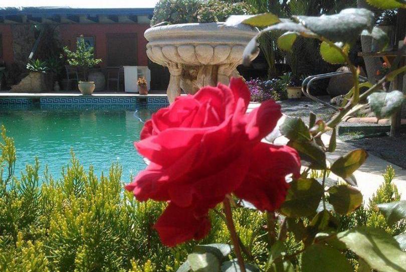 Photo 1 of Loft to share in Avenida U.n.e.s.c.o, 2, Ciutat Universitària, Alicante