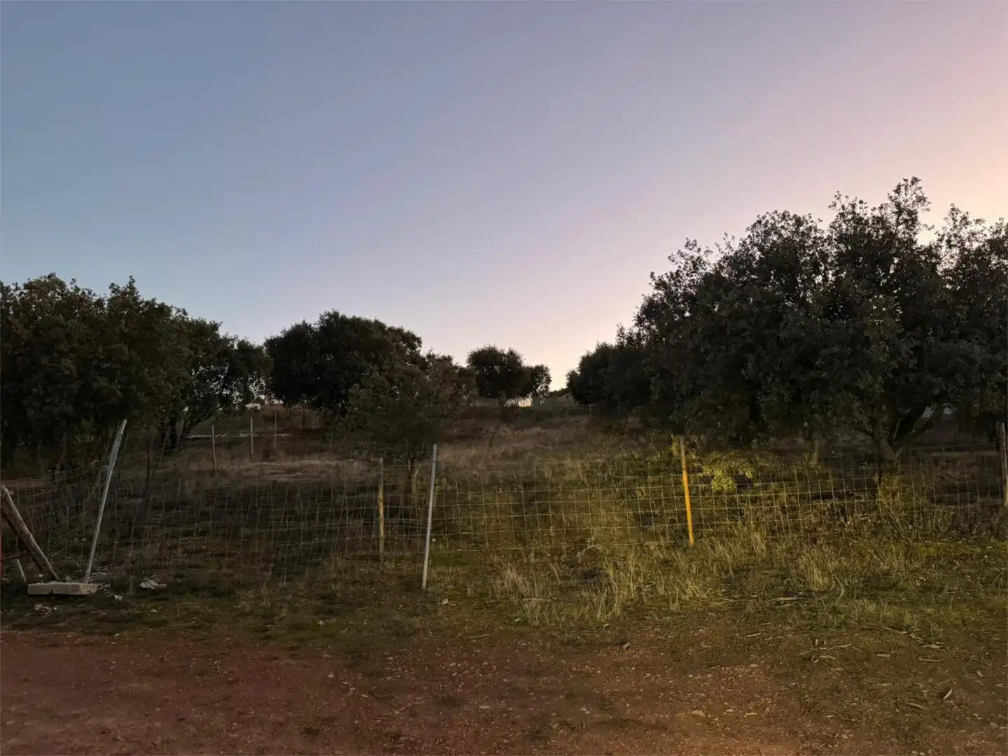Finca rústica en venta en Carrascal de Barregas con Jardín privado