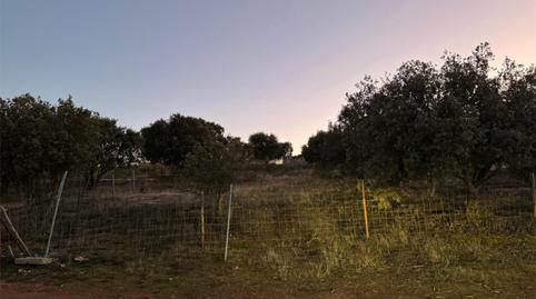 Country house for sale in Calle María Zambrano, 19, Carrascal de Barregas, Salamanca - image 4 Photo 4 of Country house for sale in Calle María Zambrano, 19, Carrascal de Barregas, Salamanca