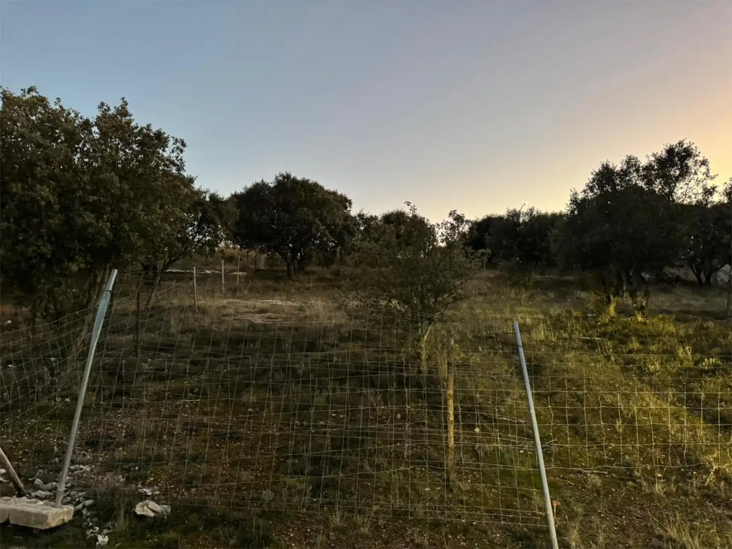 Finca rústica en venta en Carrascal de Barregas con Jardín privado