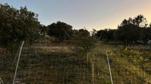 Country house for sale in Calle María Zambrano, 19, Carrascal de Barregas, Salamanca - image 5 Photo 5 of Country house for sale in Calle María Zambrano, 19, Carrascal de Barregas, Salamanca