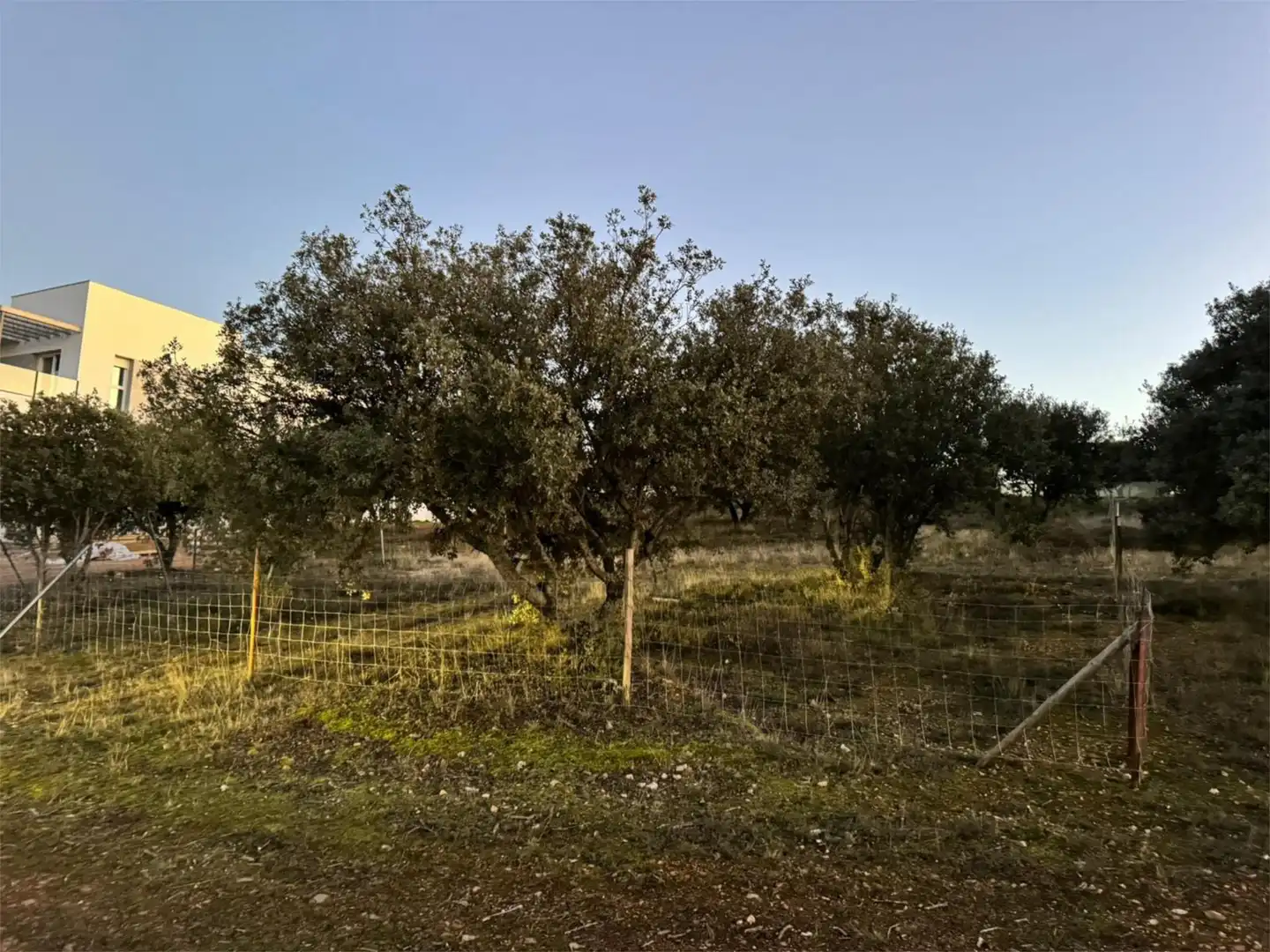 Finca rústica en venta en Carrascal de Barregas con Jardín privado