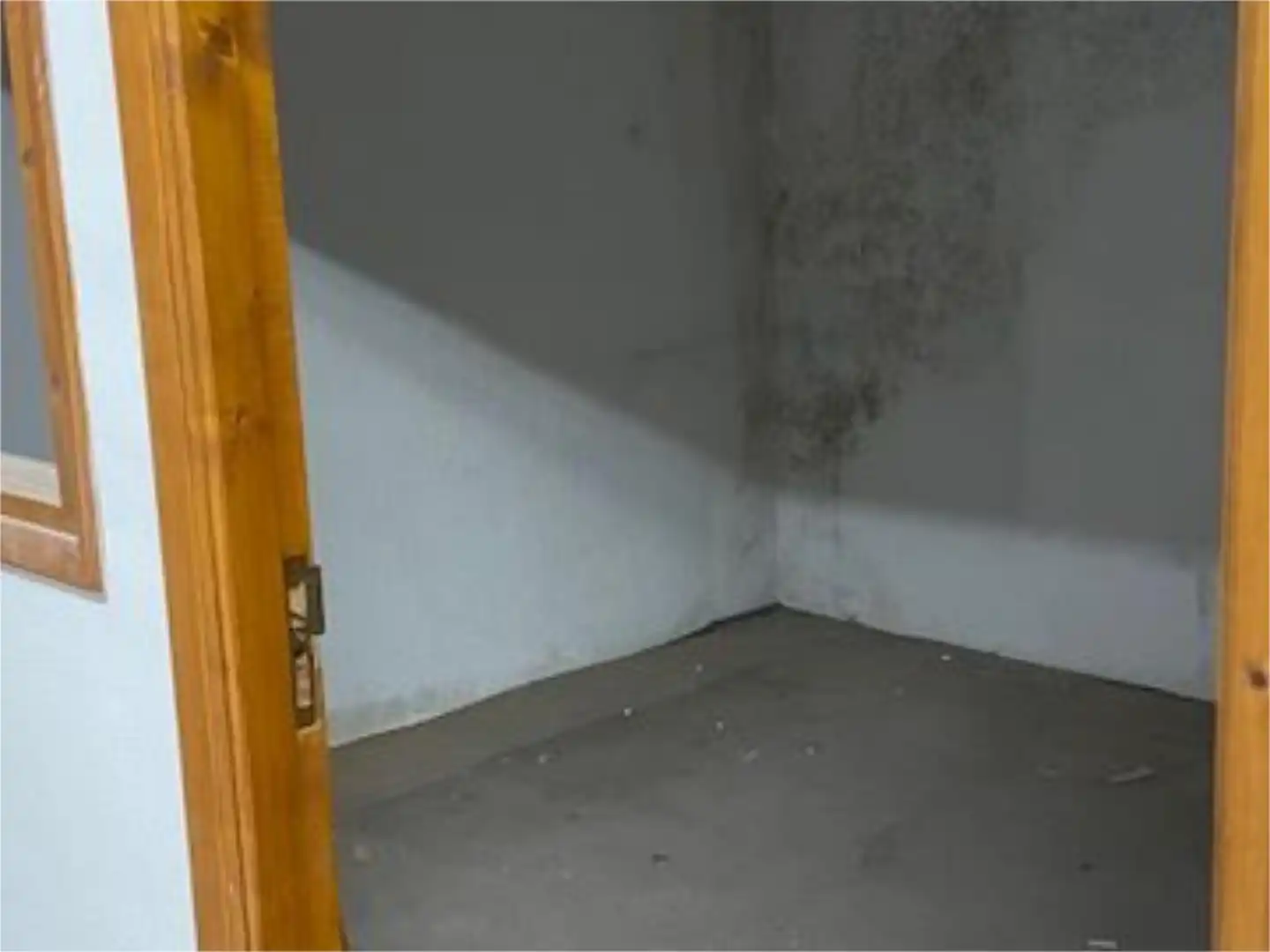 Geschaftsraum zur Miete in Carrer Germans López Santo, 4, Ciutat Jardí - Torreta Verdí Geschaftsraum zur Miete in Elche / Elx