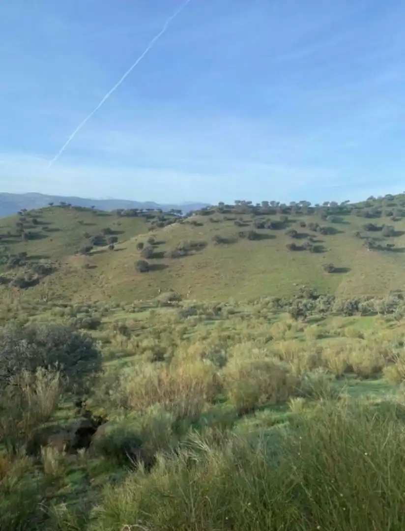 Urbanizable en venta en Puebla del Maestre