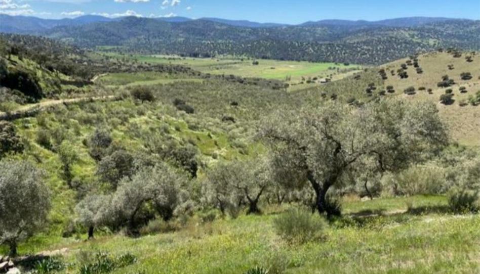 Urbanitzable en venda a Calle Argentina, 15, Puebla del Maestre, Badajoz - imatge 1 Foto 1 de Urbanitzable en venda a Calle Argentina, 15, Puebla del Maestre, Badajoz