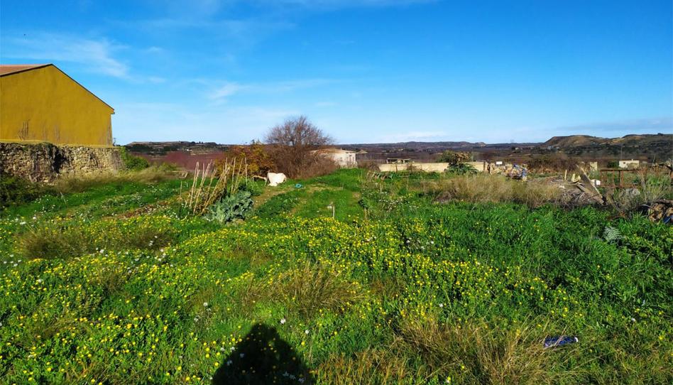 Bebaubares Gelände zum Verkauf in Calle las Eras, 110, Maella, Zaragoza - Bild 1 Foto 1 von Bebaubares Gelände zum Verkauf in Calle las Eras, 110, Maella, Zaragoza