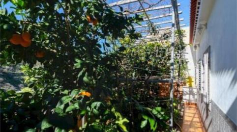 Photo 2 of Single-family semi-detached for sale in Barrio las Pe/as, 4, Artenara, Las Palmas