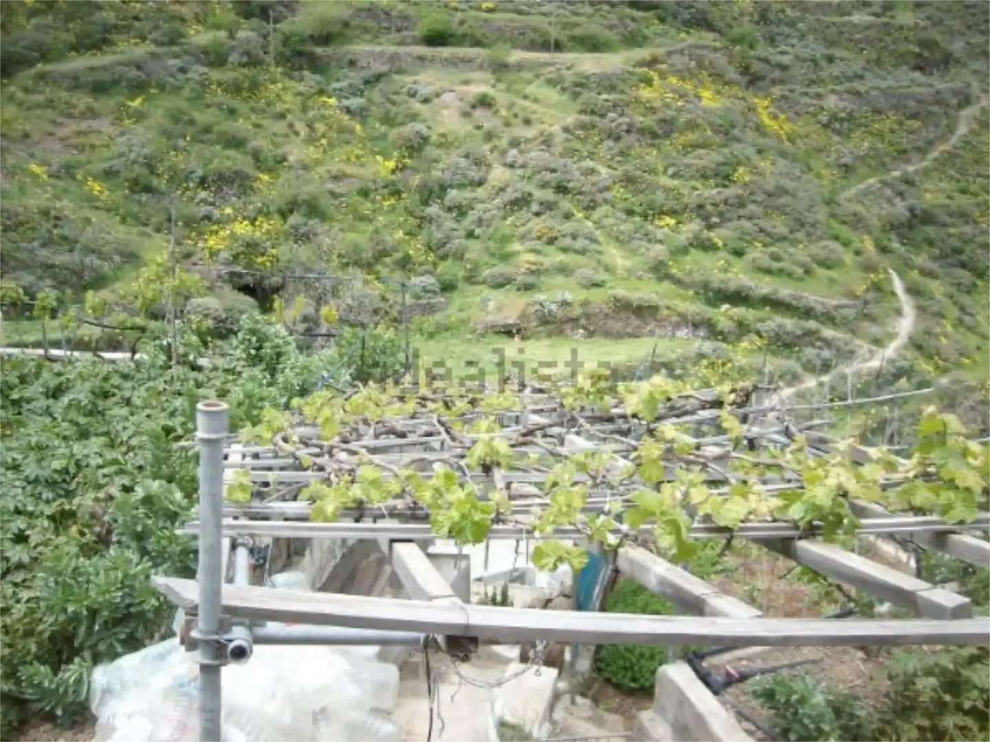 Piso en venta en Barrio las Pe/as, 4, Artenara Jardín de Piso en venta en Artenara con Jardín privado, Terraza y Trastero