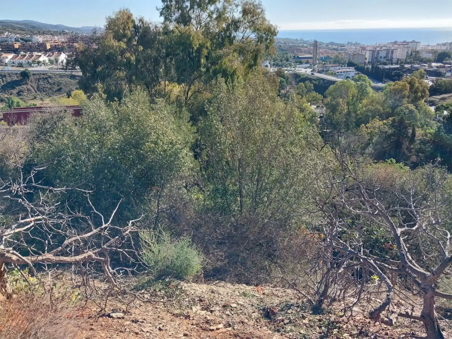 No Urbanizable en venta en Urbanización Montaña Marbella Club, 2, Huerta del Prado - La Montua No Urbanizable en venta en Marbella