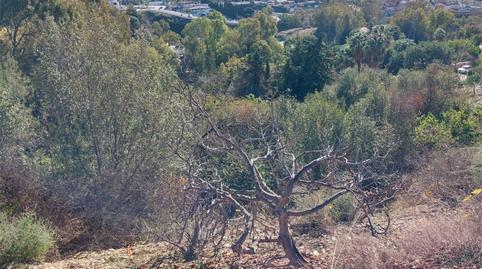 Photo 5 of Non-constructible Land for sale in Urbanización Montaña Marbella Club, 2, Huerta del Prado - La Montua, Málaga