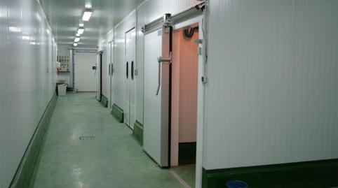 Premises for sale in Calle Guaduares, 7, El Fuerte - La Dehesa, Málaga - image 5 Photo 5 of Premises for sale in Calle Guaduares, 7, El Fuerte - La Dehesa, Málaga