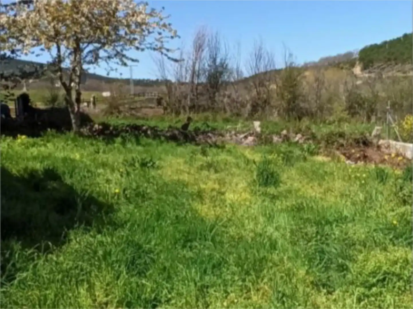 Urbanitzable en venda en El Maíllo 