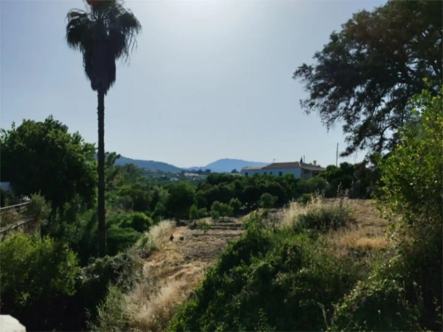 Finca rústica en venda en Alhaurín El Grande amb Aire condicionat, Terrassa i Piscina