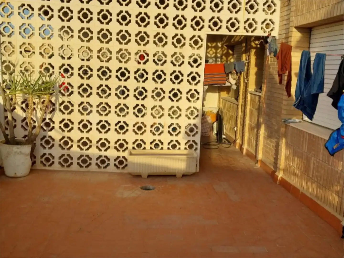 Exterior view of Attic for sale in Totana  with Terrace