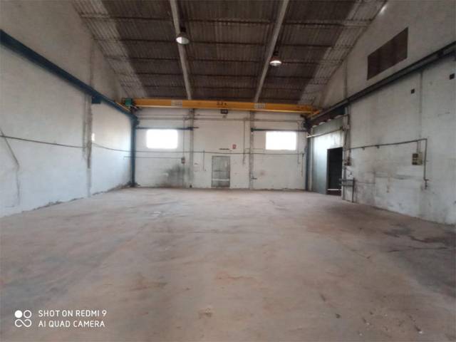 Local comercial en Alquiler en Albujón