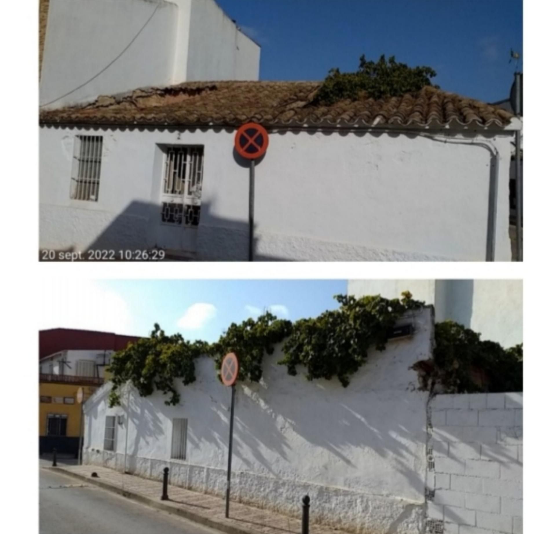 Exterior view of Planta baja for sale in Linares
