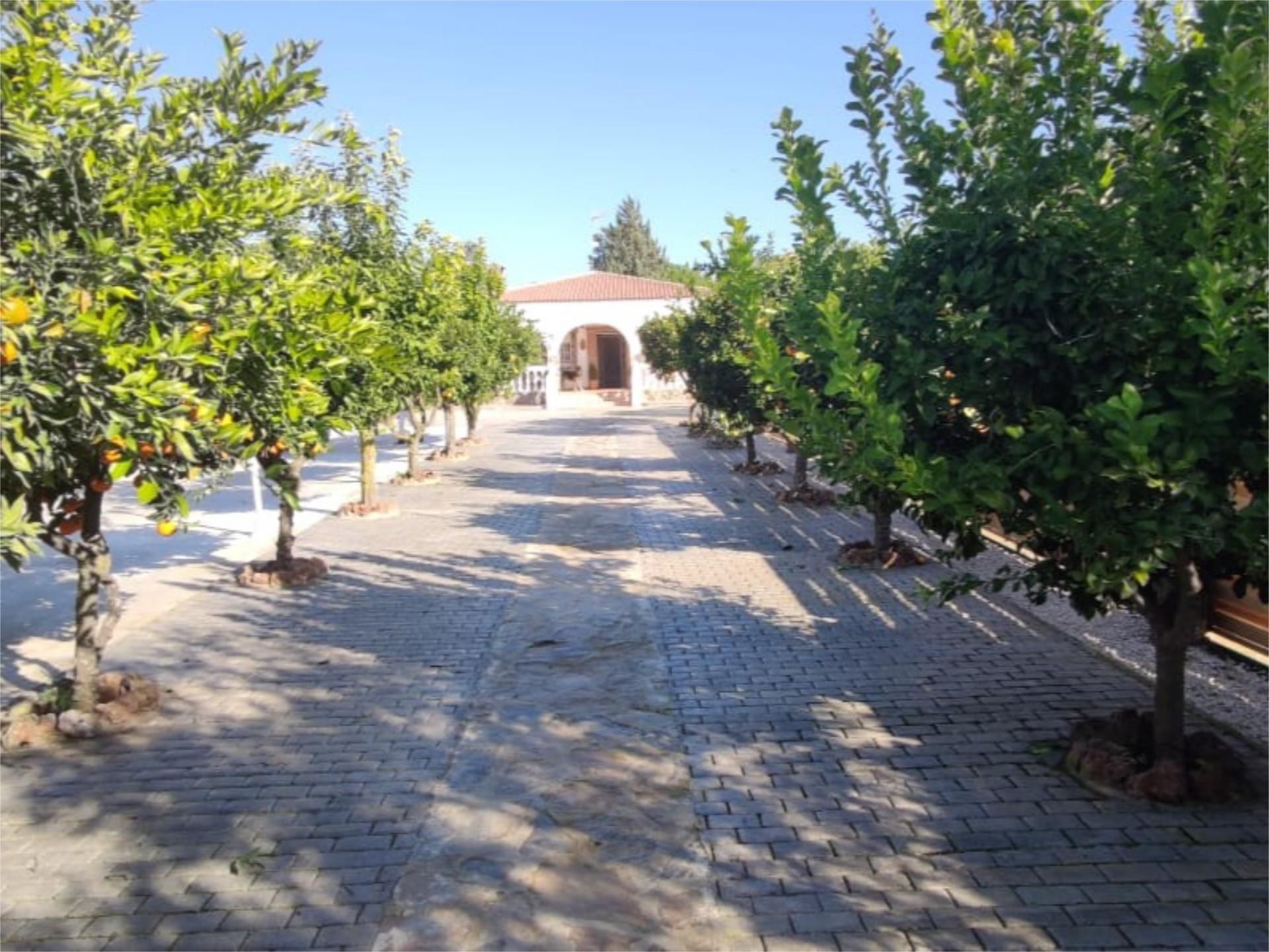 Vista exterior de Casa o xalet en venda en Linares amb Aire condicionat, Calefacció i Jardí privat