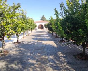 Vista exterior de Casa o xalet en venda en Linares amb Aire condicionat, Terrassa i Piscina